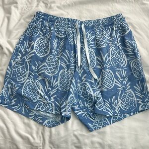 Men’s - Chubbies Classic Lined Swim 5.5” - Medium